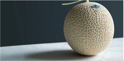 Yubari melon