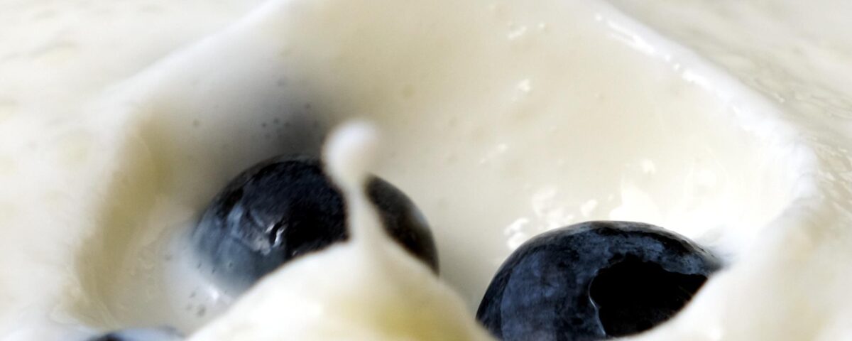 six yogurt stories