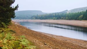 Weekly Economic News Roundup and Why Water is a Worry | Econlife