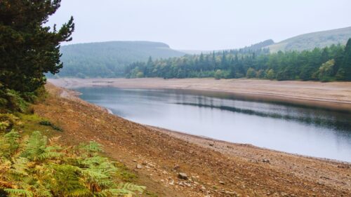 Why Water is a Worry | Econlife