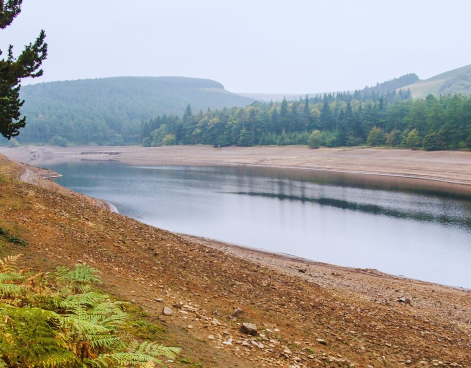 Why Water is a Worry | Econlife