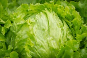 lWeekly Economic News Roundup and ettuce recall costs