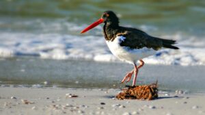 Weekly Roundup​​​​​​​​​​​​​​​​​​​​​​​​​​​​​​​​​​​​​​​​​​​ and sand demand
