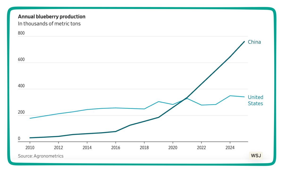 China's blueberries