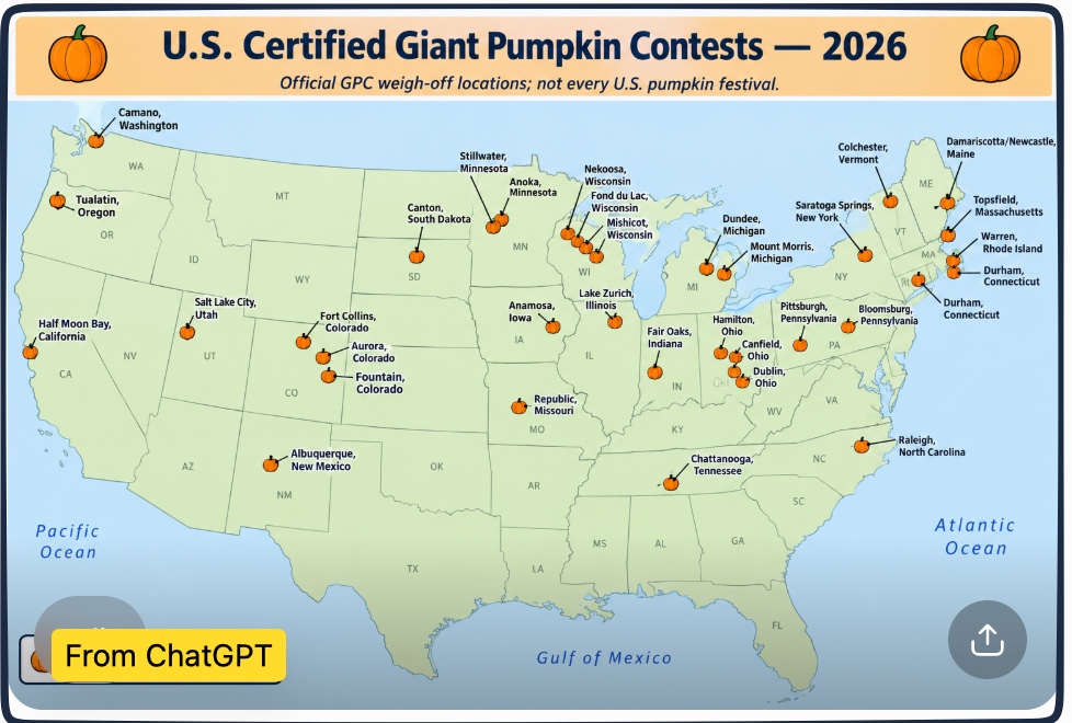 giant pumpkins
