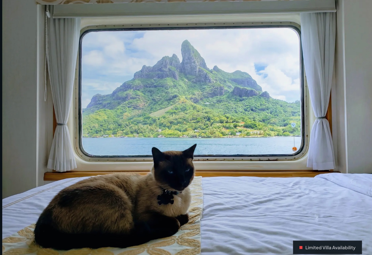 neverending cruise